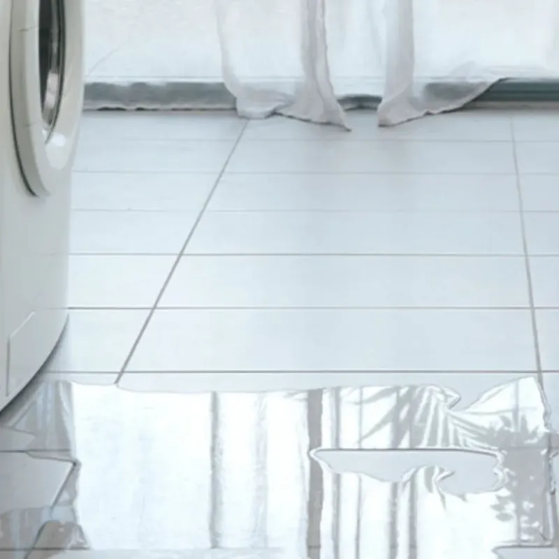 Appliance Leak Cleanup in Colfax, LA