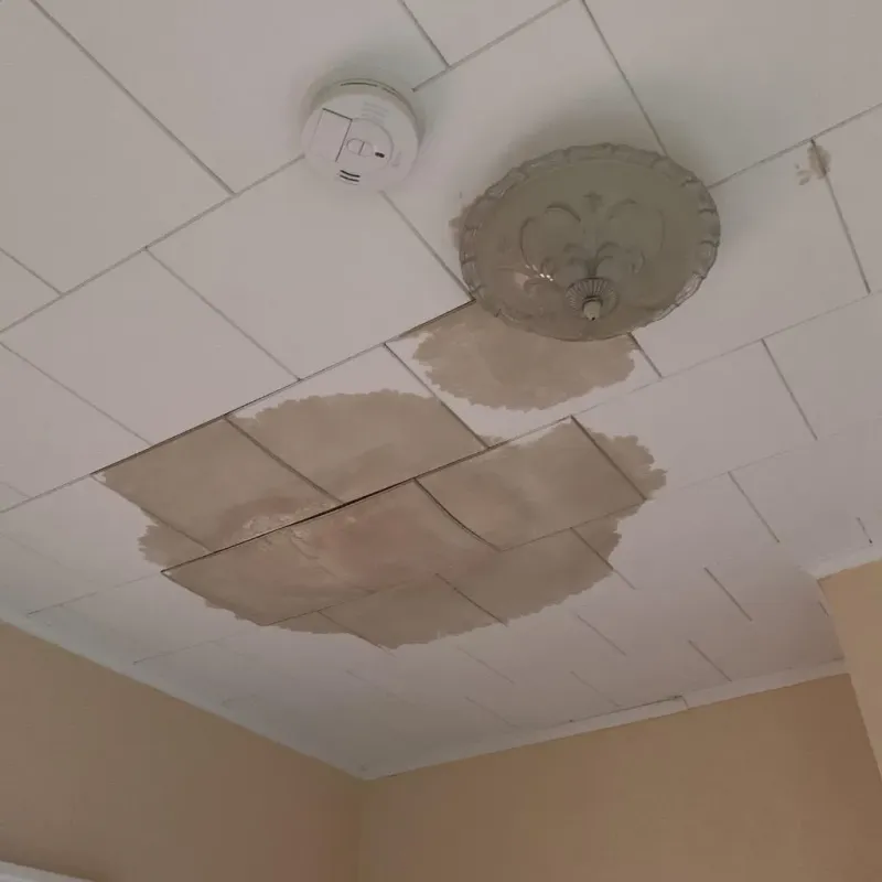 Ceiling Water Damage Repair in Colfax, LA