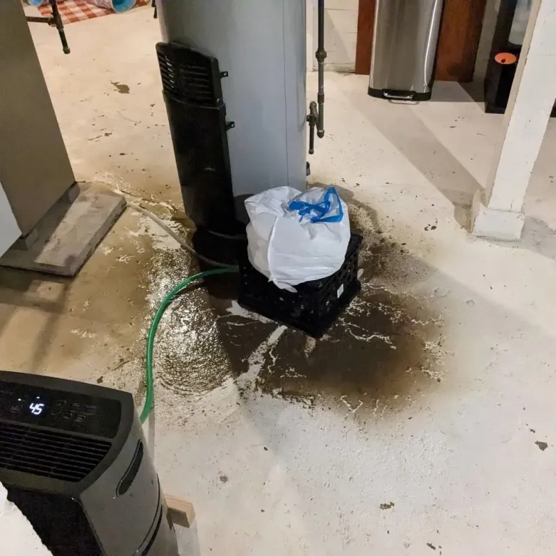 Sewage Backup Cleanup Service in Colfax, LA